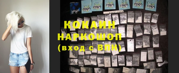 a pvp Гусь-Хрустальный