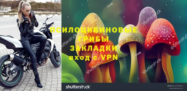 амф Горнозаводск