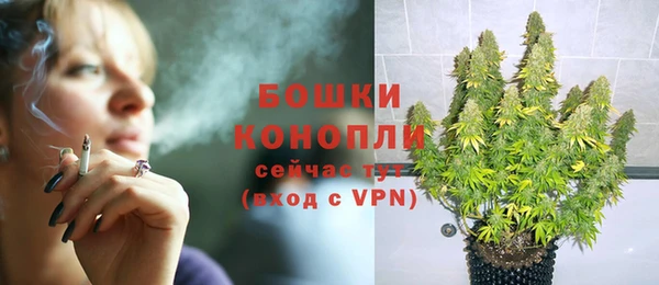 соль ск Гусев