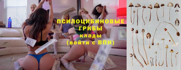 spice Гусиноозёрск